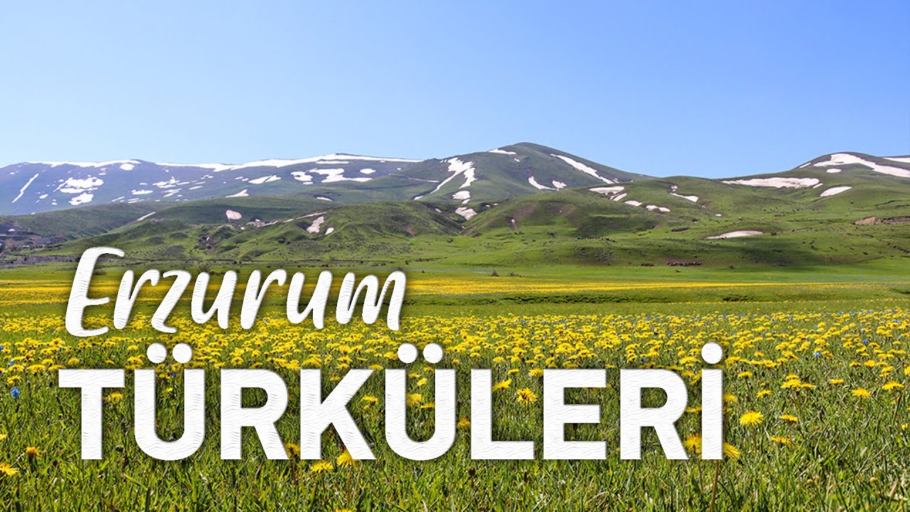 Radyo TÜRKÜLER | En Çok Dinlenen Türküler - Erzurum #elapro