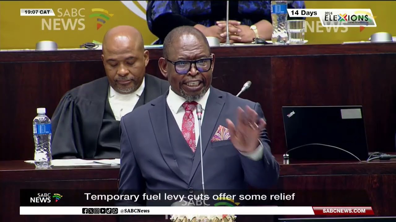 MTBPS 2026 | Temporary fuel levy cuts offer some relief