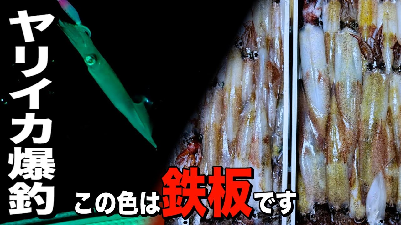 【イカメタル ヤリイカ爆釣】ヤリイカ狙いならこの鉄板カラー必須！