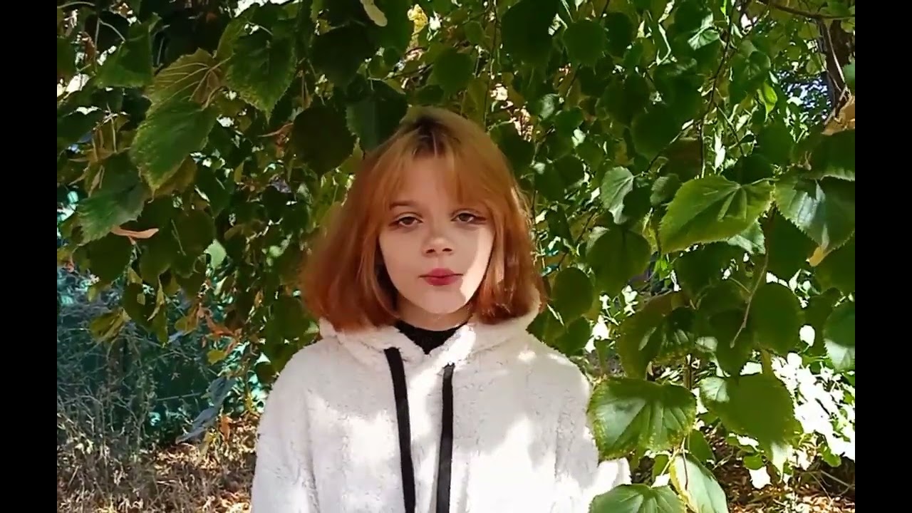 Сергієнко Софія Валентинівна