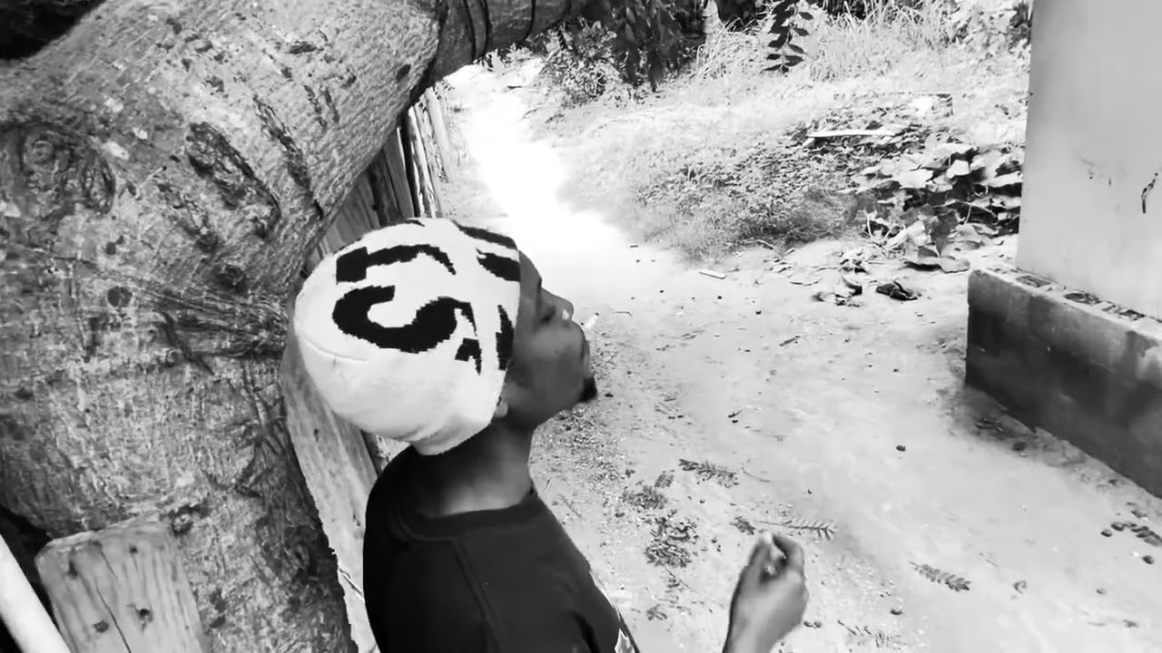 Paadi - Hurt Inside (Audio Visualizer) #reality