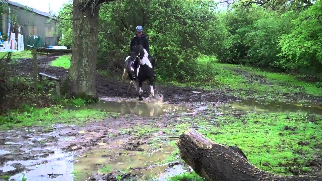 Duckhurst Farm