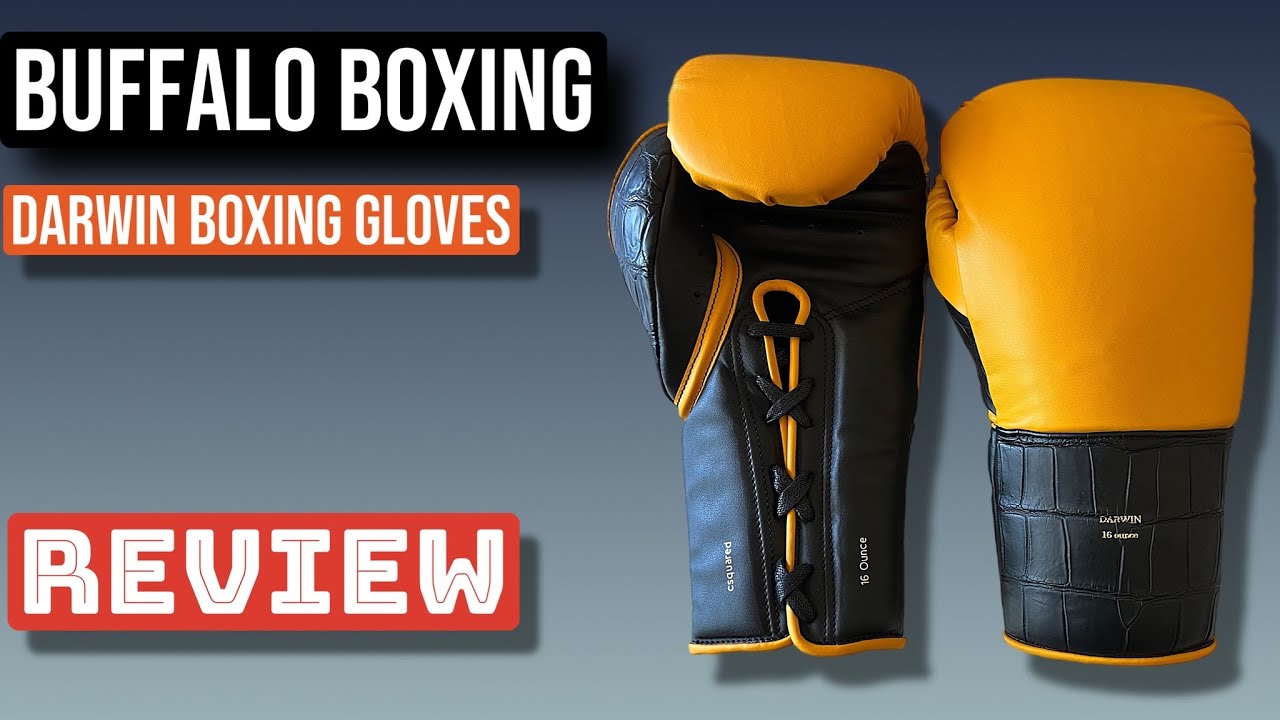 Buffalo Boxing Studio Darwin Pro Gloves: Full Review & Breakdown