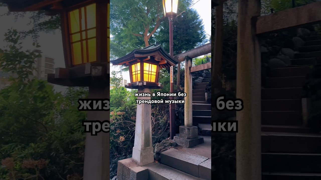 звуки такой разной Японии #carolinekingschwarz #japan #aesthetic #tokyo #vibe #lifestyle #infp #life