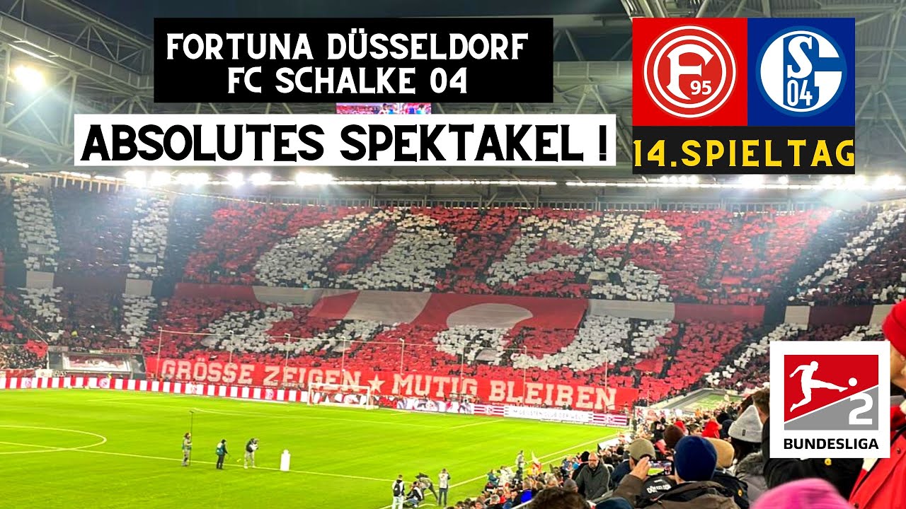 5:3 SPEKTAKEL! Fortuna Düsseldorf - FC Schalke 04 5:3 Alle Tore & Highlights 25.11.2023 2.Bundesliga