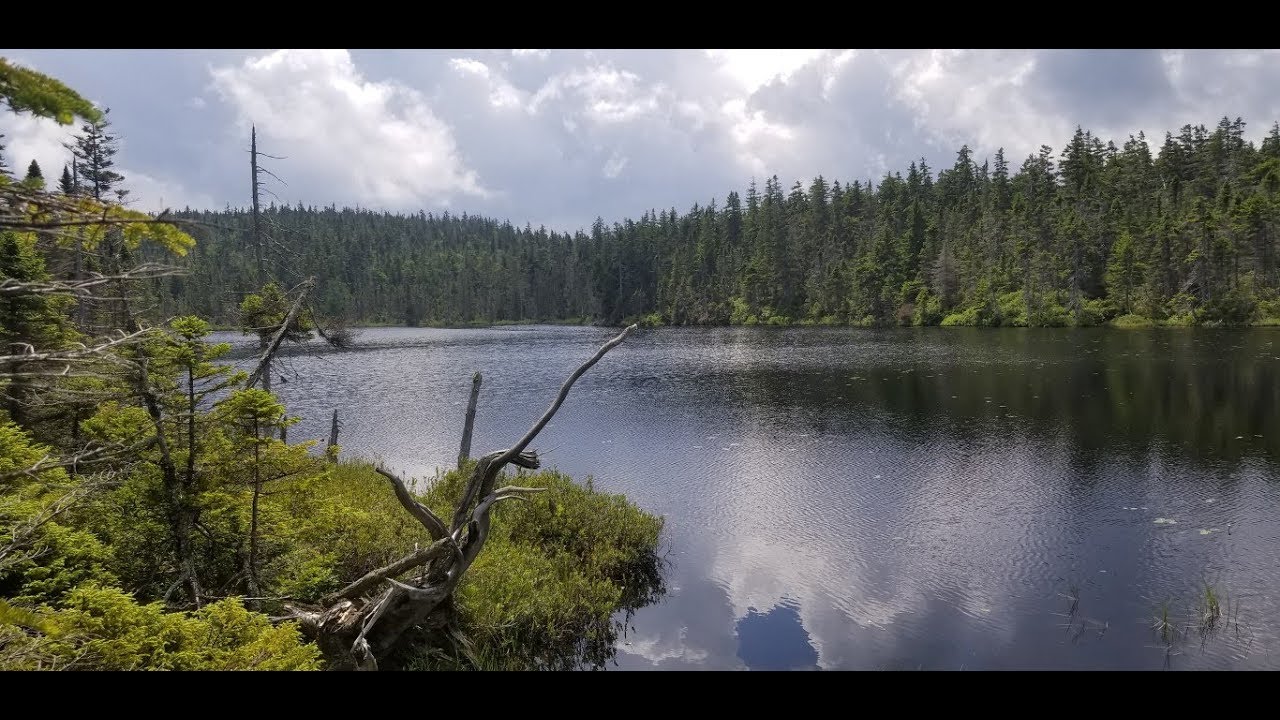 Nancy & Norcross Pond, then Ripley Falls - White Mountains, NH. Hiking Trip 07/15/18