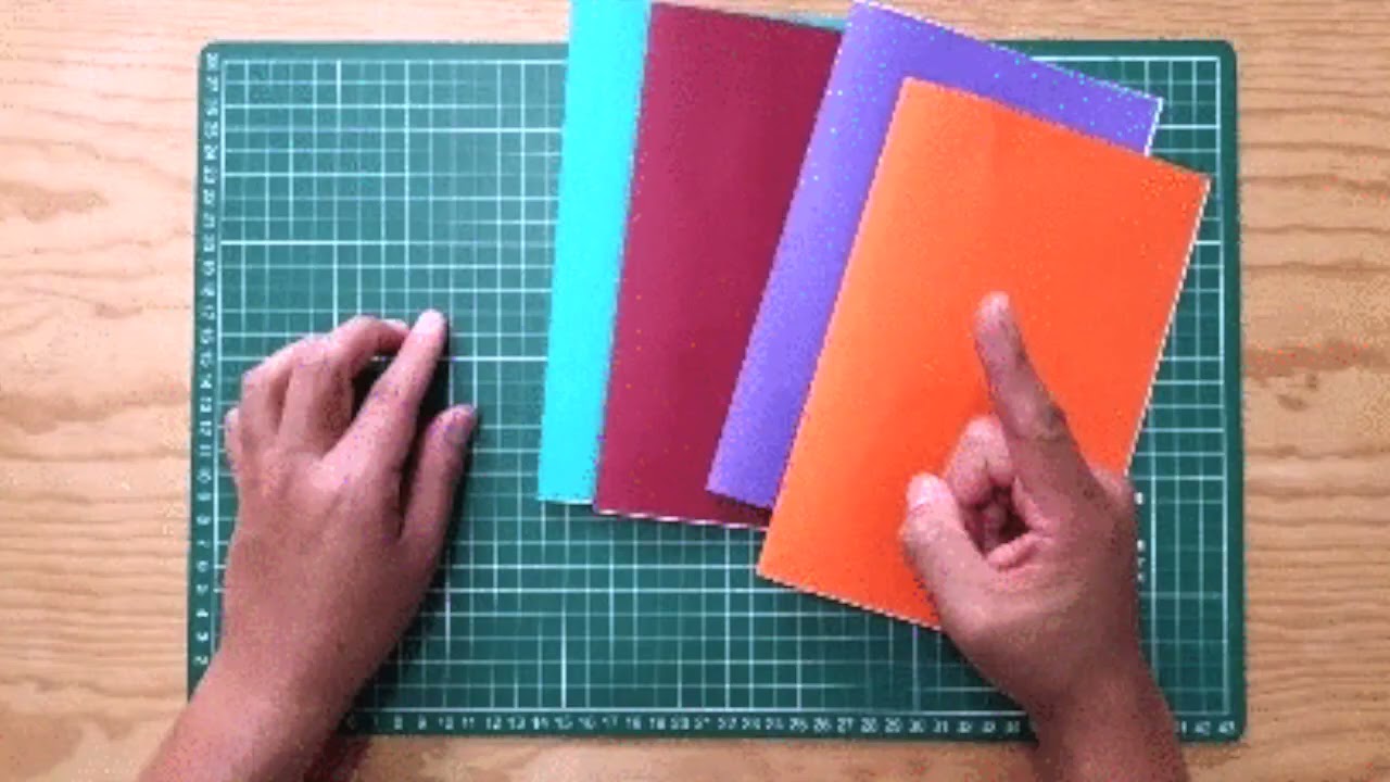 Taller  Libreta  pop up de insectos 1