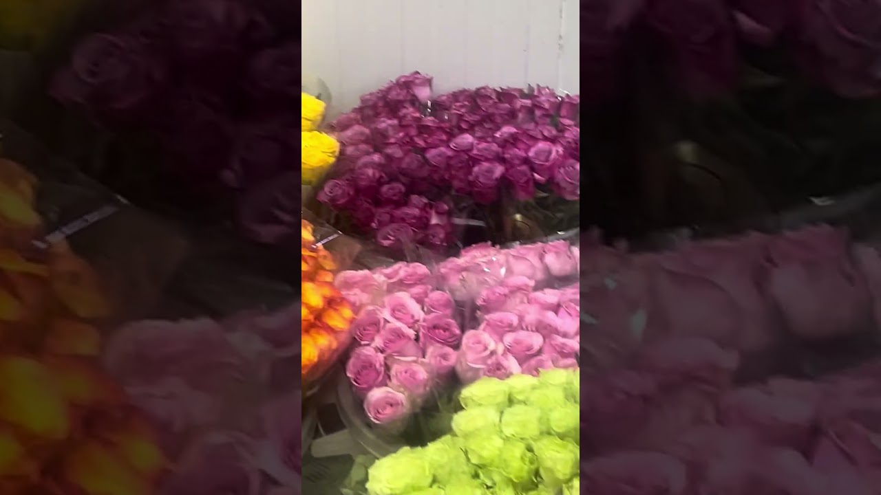 ٢٥ فبراير، ٢٠٢٦محل الورود 🌼🌻🪸🌹