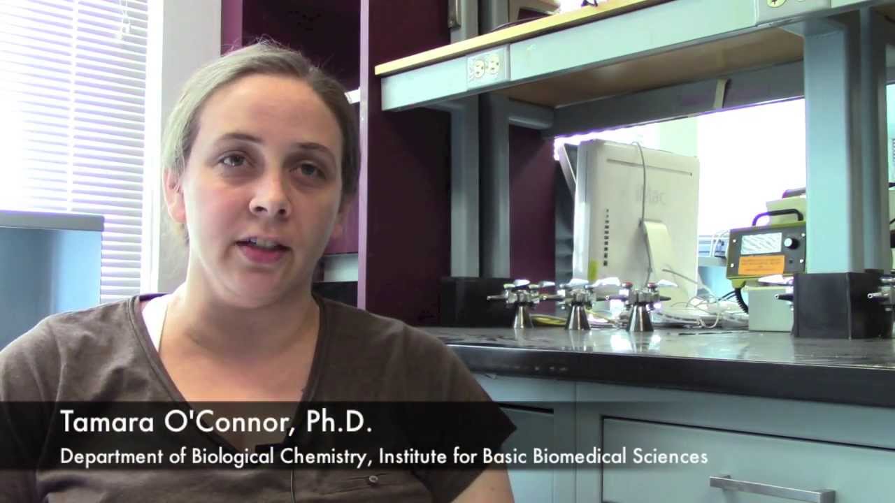 Tamara O'Connor | The Tricky Legionella Pathogen