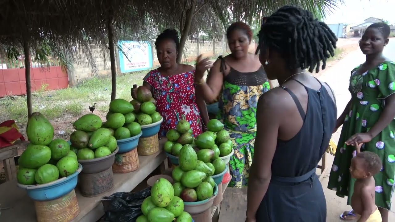 Visite de Kpalimé au Togo, le 8 janvier 2024