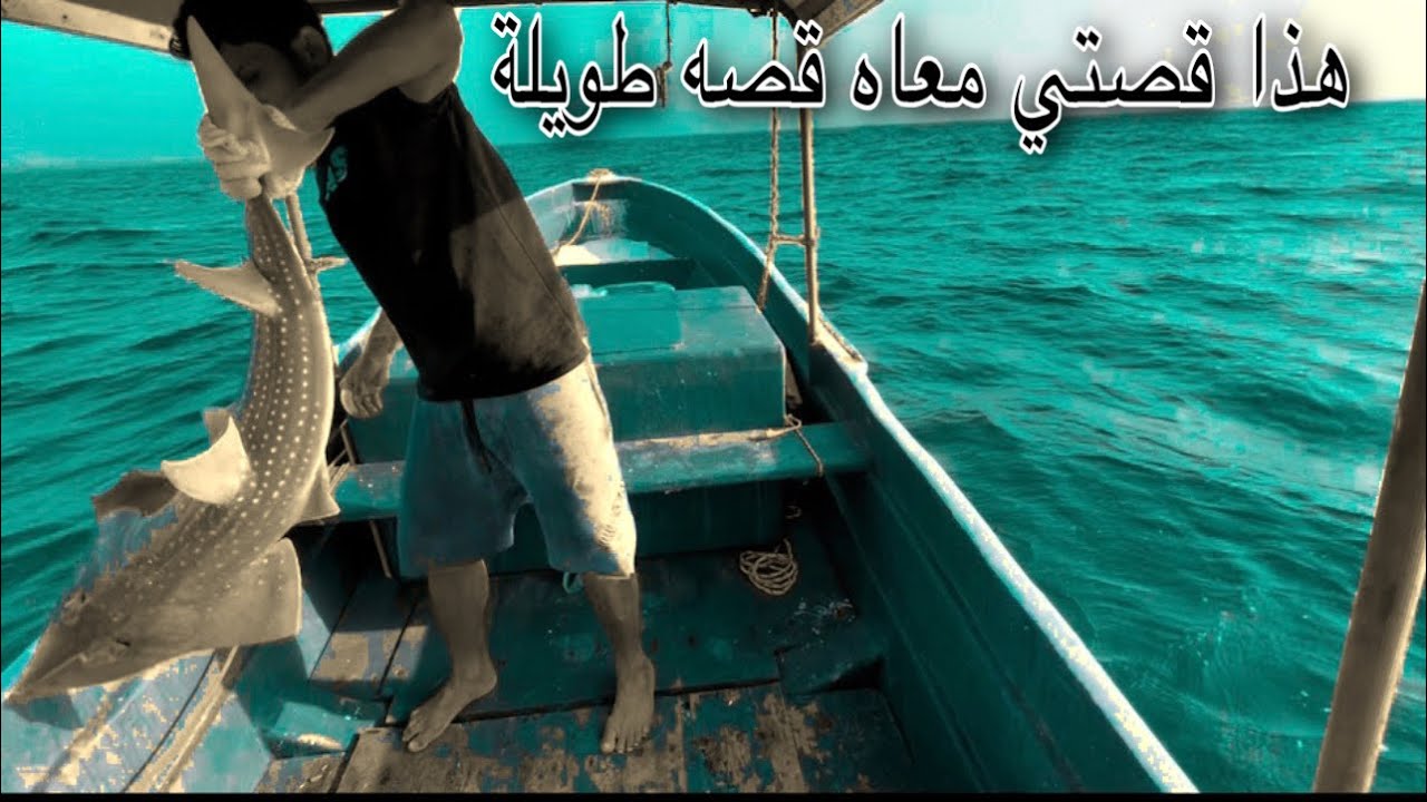 صيد البر في محافظة البرك