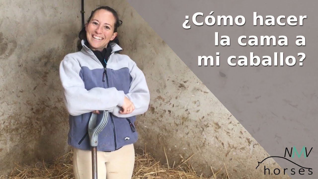 Cómo HACER LA CUADRA a tu caballo. PASO A PASO