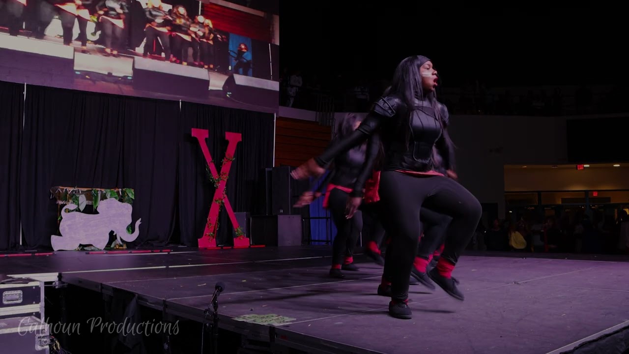Alpha Chi Chapter of Delta Sigma Theta Sorority, Inc. @ Tennessee State University Step Show 2022