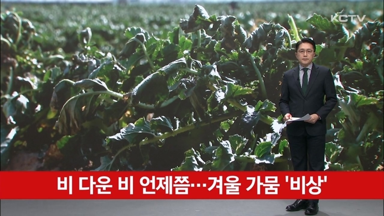 비 다운 비 언제쯤…겨울 가뭄 '비상'