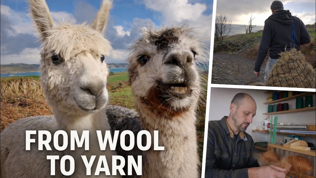 How Alpaca Wool Becomes Yarn (What Farm Life Really Looks Like)