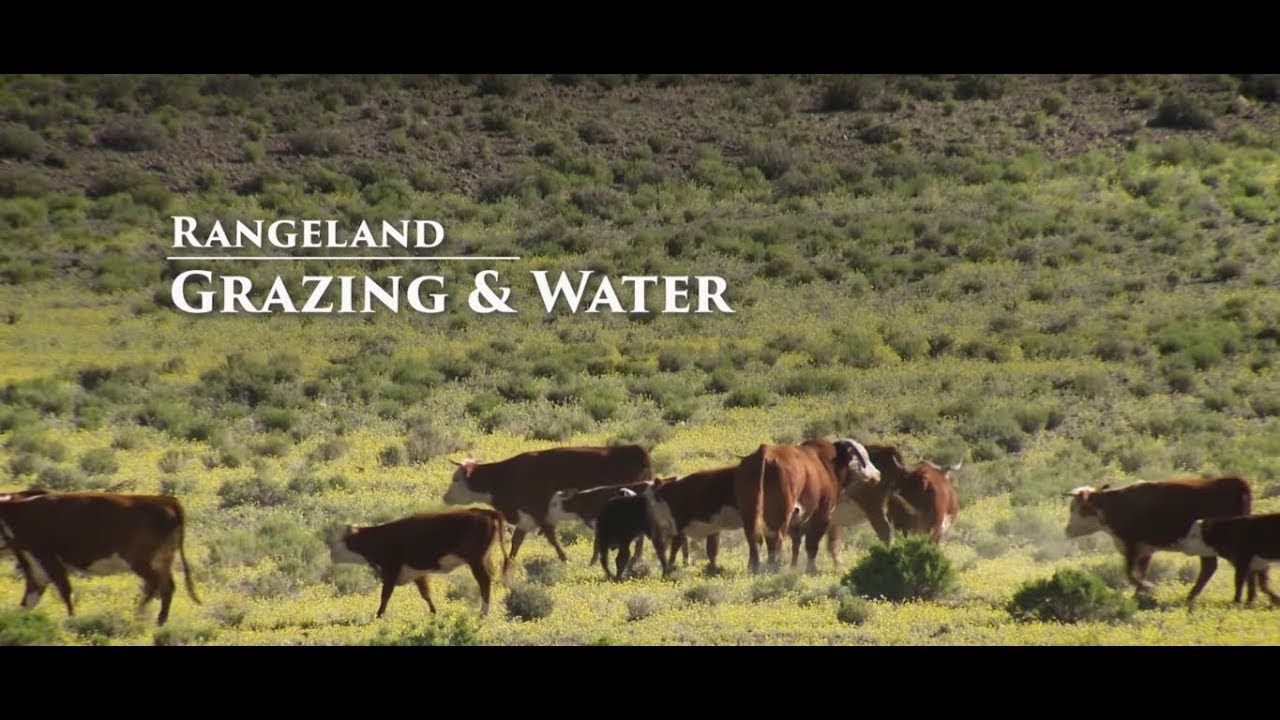 Rangeland Grazing and Water - Modern Ranching Property Rights Documentary