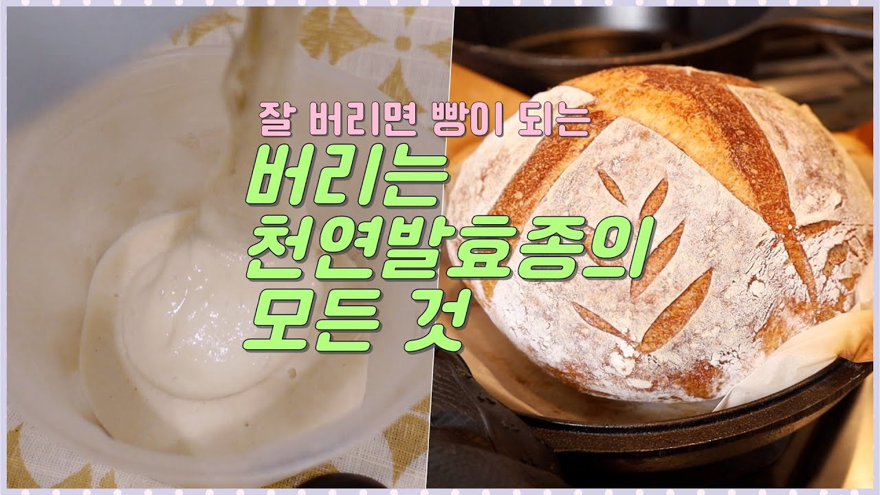 천연발효종의 골칫덩어리 🫣 버리는 발효종에 대한 모든 것을 알려드리겠습니다! 발효종 디스카드 관리법,  버리는 르방 관리법| 홈베이킹| 플비 Flavia's Pod
