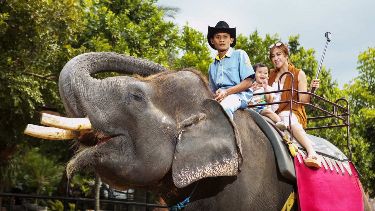 Batu Secret Zoo - Jawa Timur Park 2