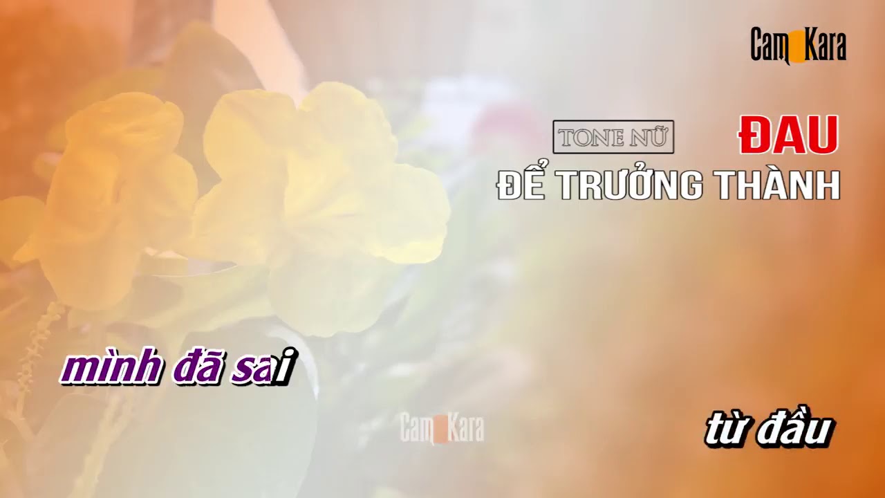 KARAOKE Đau Để Trưởng Thành   Tone Nữ Thấp   Dễ hát