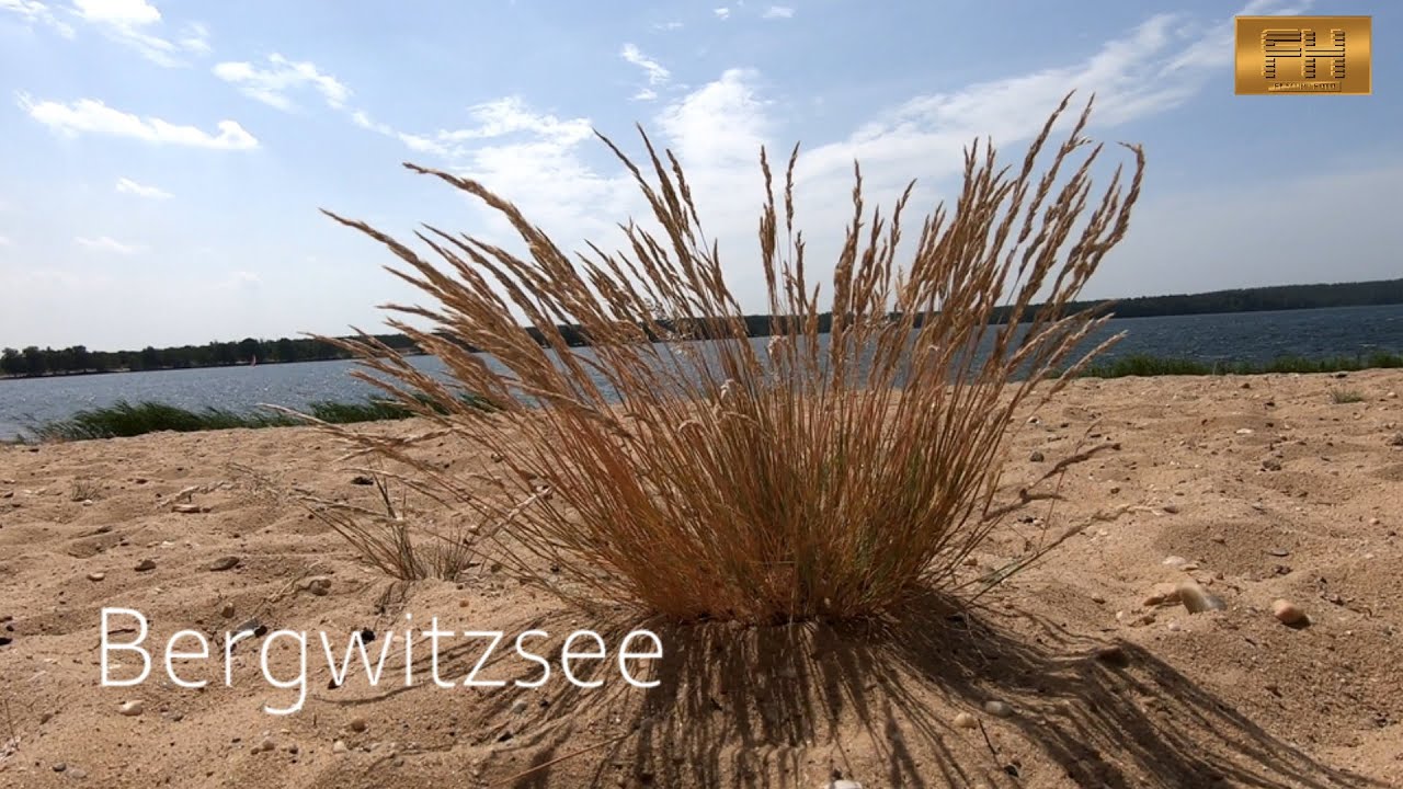 Lutherstadt Wittenberg - Naherholungsgebiet Bergwitzsee bei Kemberg