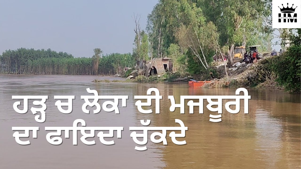 ਸਤਲੁਜ ਦਰਿਆ On Ground Reporting || #flood  #punjabfloods2025 #sultanpurlodhi