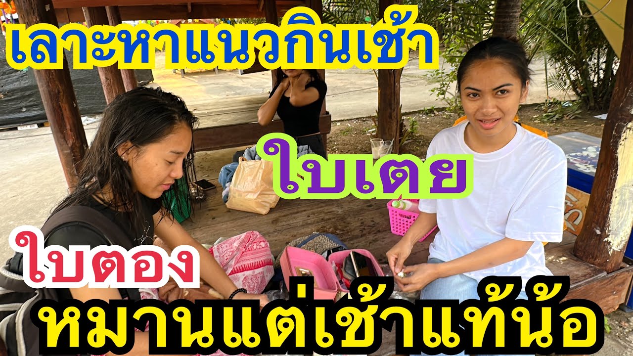 ป้าดๆคือหมานแต่เช้าแท้ เลาะหาแนวกินเช้า บรรยากาศยามเช้า #ใบเตย #ใบตอง #สาวน้อยเพชรบ้านแพง