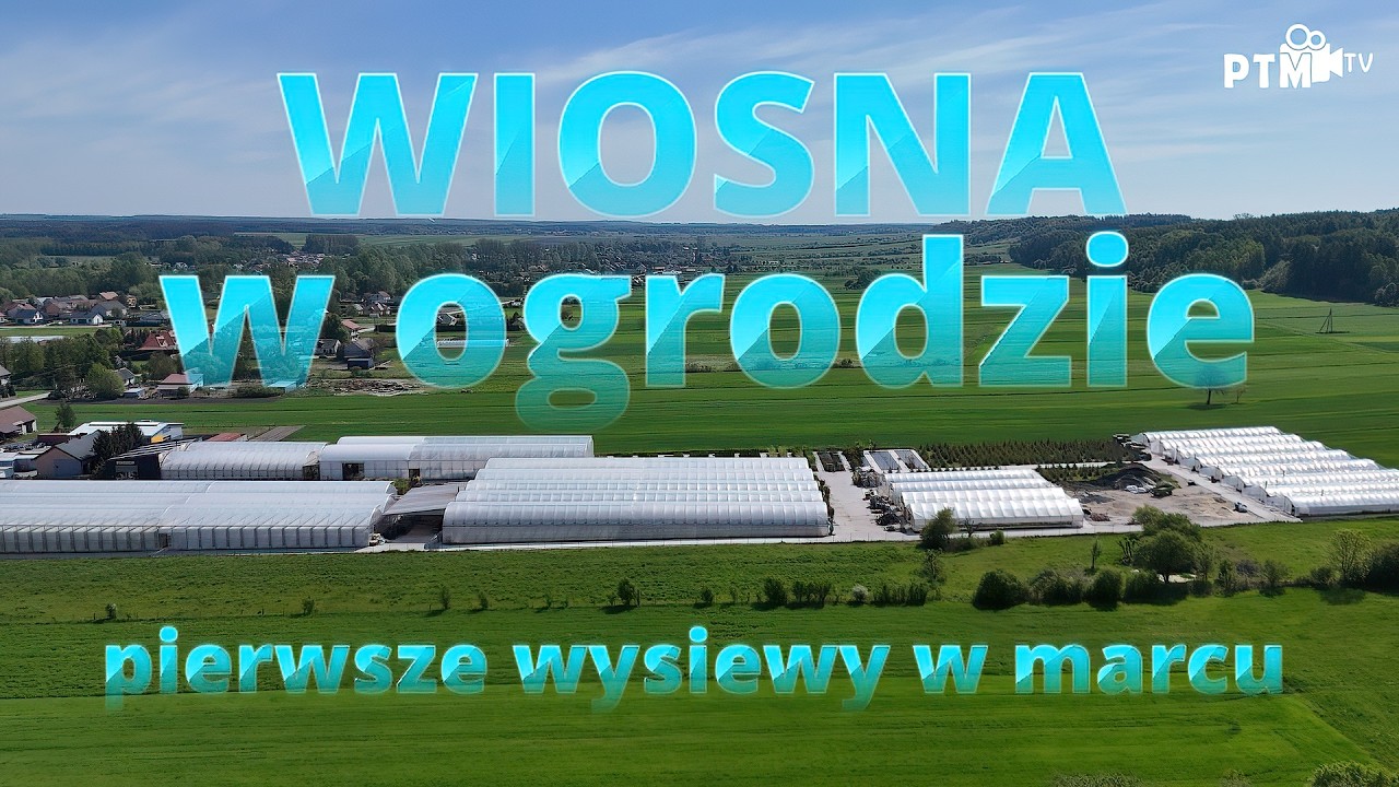 Pierwsze wysiewy w marcu