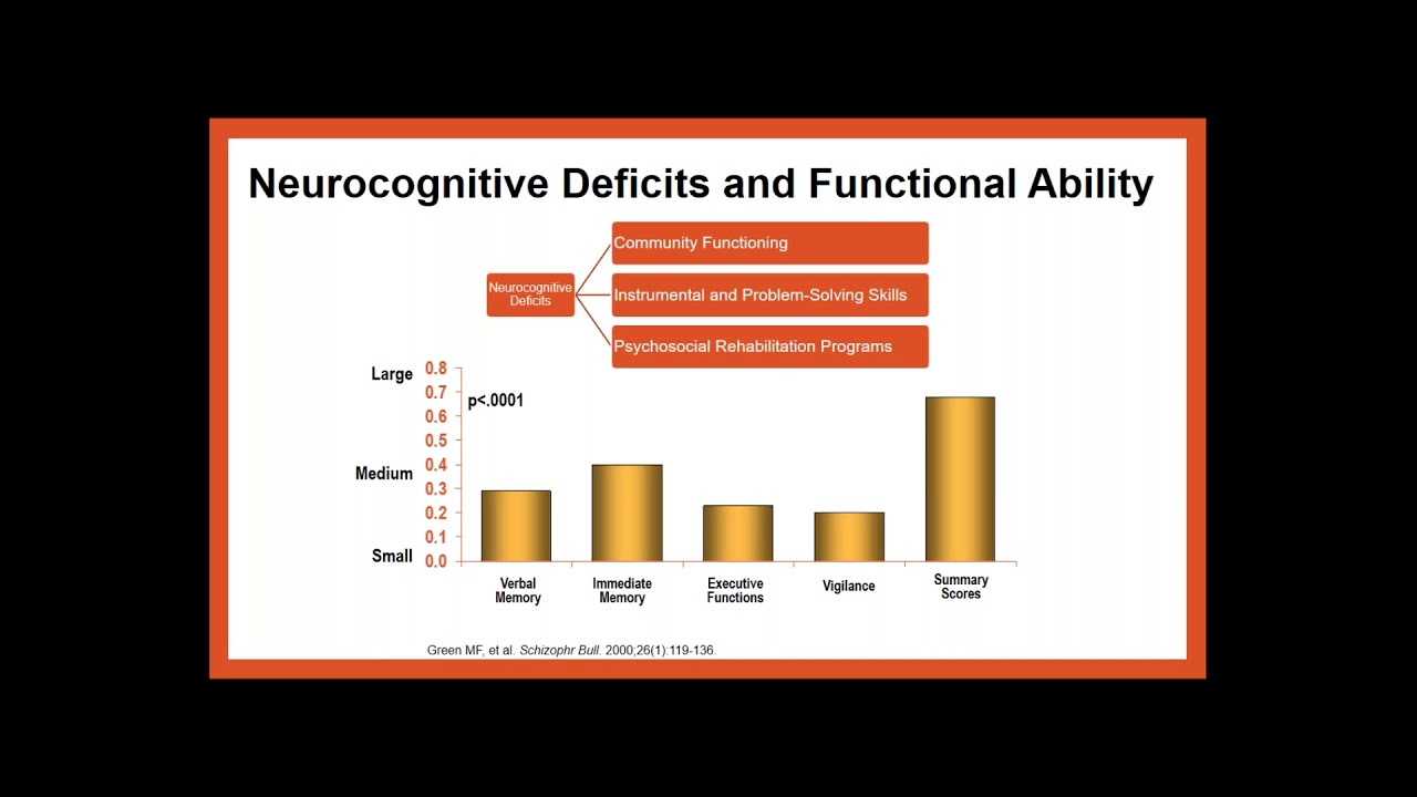 Improving Functioning in Schizophrenia? Meet the Scientist Webinar