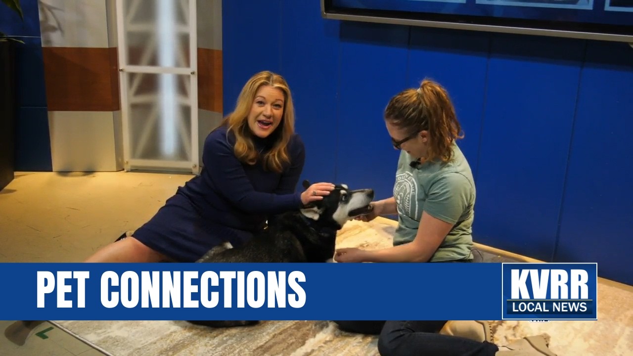 PET CONNECTIONS: Meet Iris, the blind husky