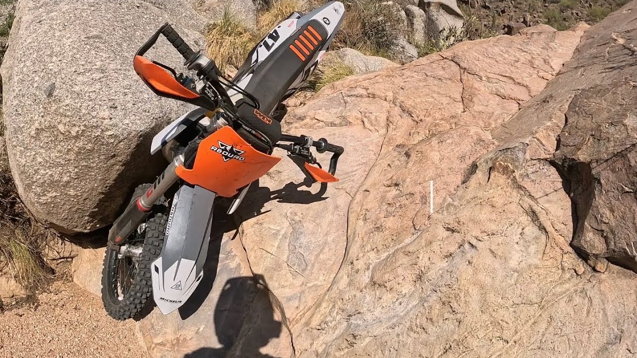 Mesquite
