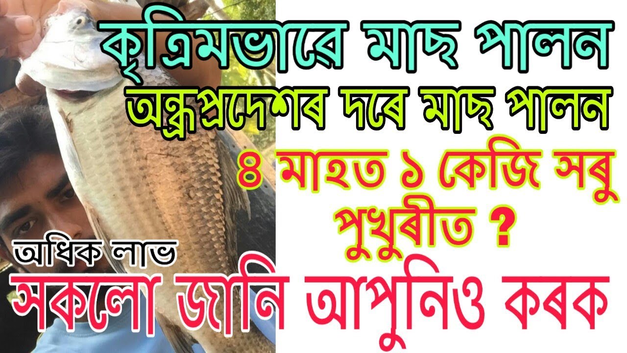 কি কি সাৰ ব্যৱহাৰ কৰিব ? প্ৰশ্নসমূহৰ উত্তৰ। Fertiliser and comercial feed using for fish farming