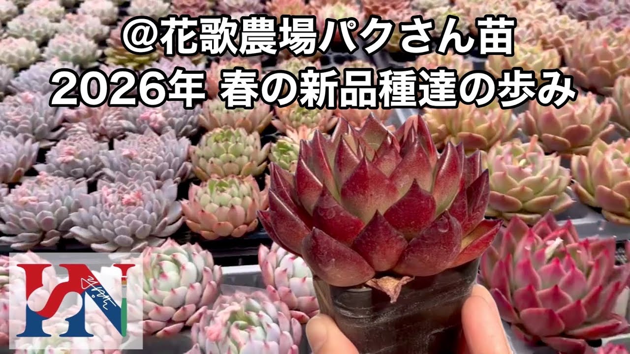 2026 春の新品種達の歩み