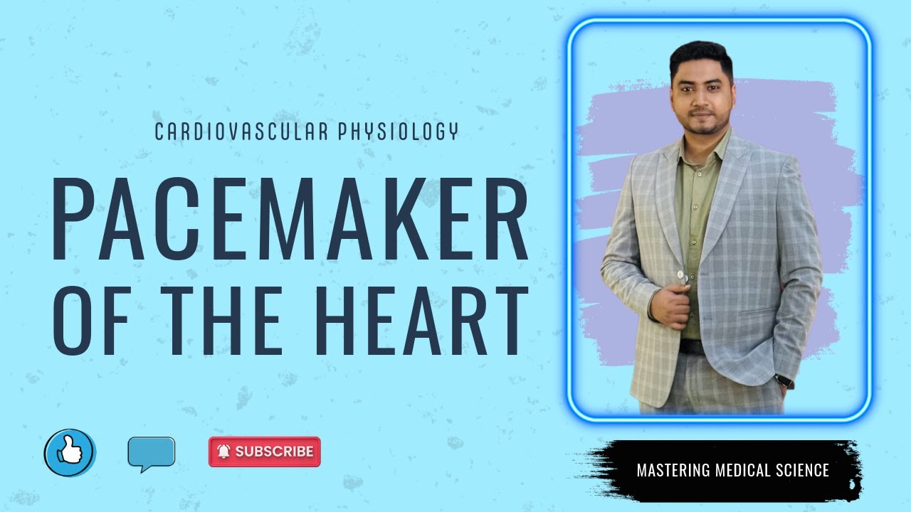 PACEMAKER of the Heart | Cardiovascular Physiology | Bangla | বাংলা