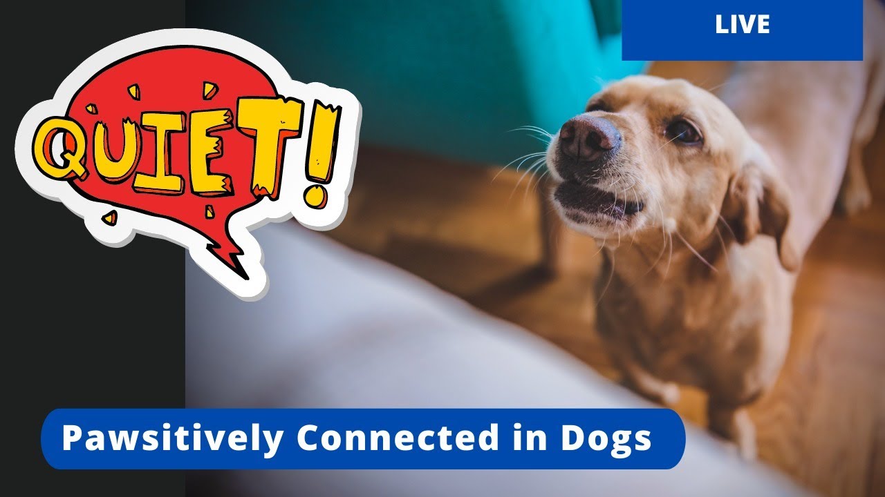 STOP Unwanted Barking