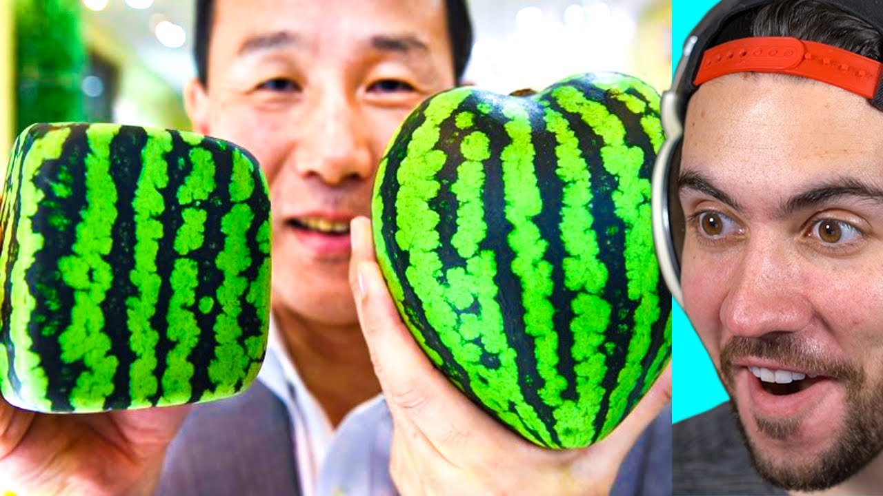 Ridiculous Things You Will Only See In Japan