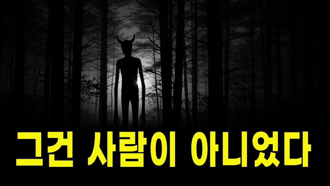 그건 사람이 아니었다 | 숲에서 목격된 정체 [북한괴담]