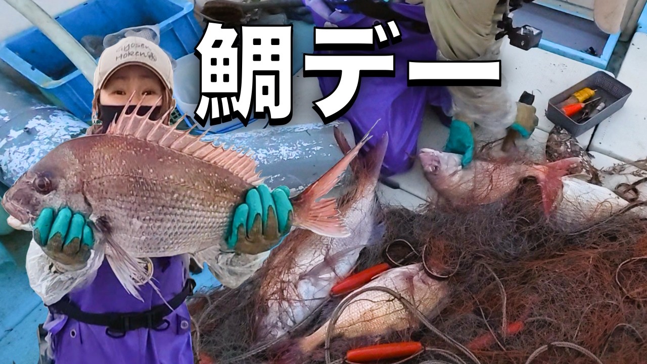 鯛ラッシュに追われるおかん！建網漁の現場