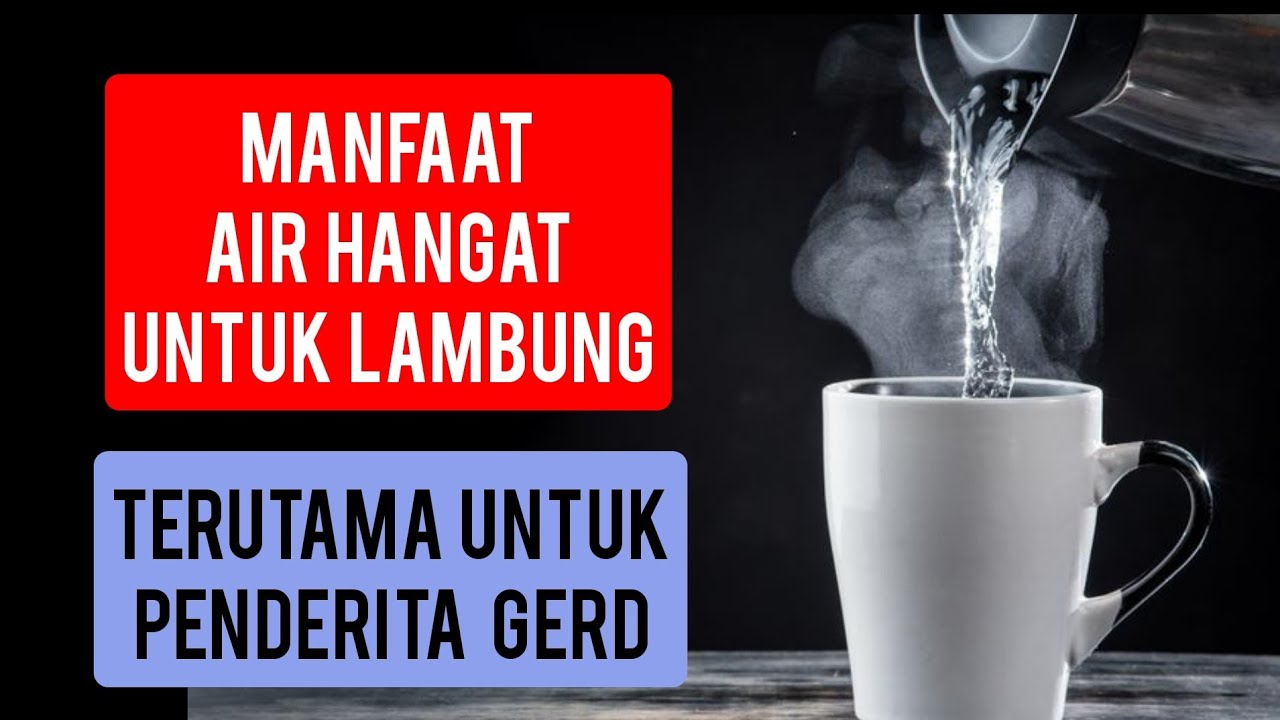 Manfaat air hangat untuk lambung dan gerd #asamlambung