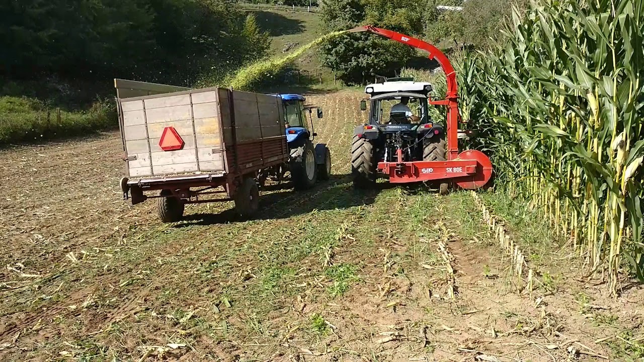 Kukurydza/silaža/silage/maish&auml;ckseln -Slovenia-2018 DEUTZ-FAHR, LANDINI, NEW HOLLAND, SIP...