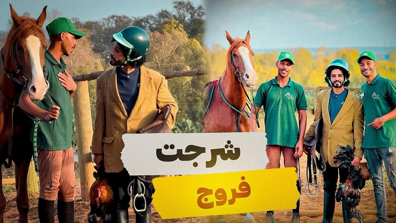 بغيت نسرج فروجي باش نتبورد عليه 😂