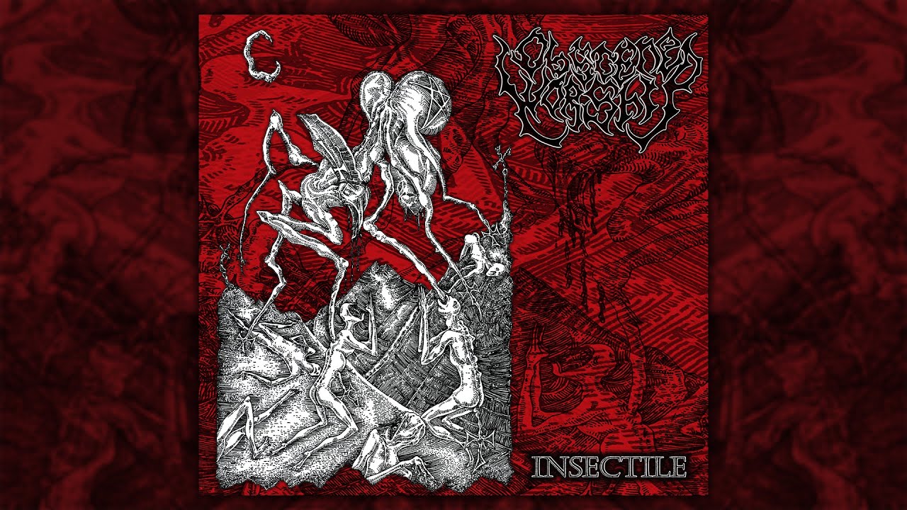 Obscene Worship - Insectile