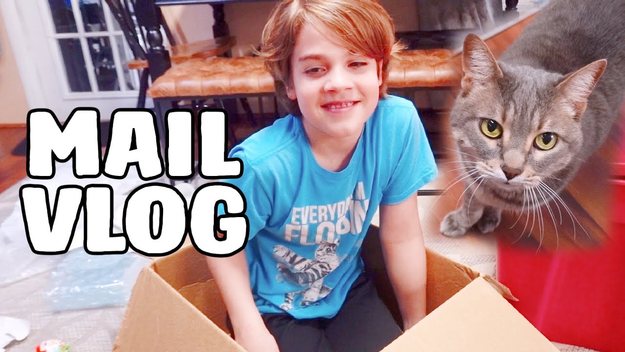 Он наконец превратился в кота — Mail Vlog