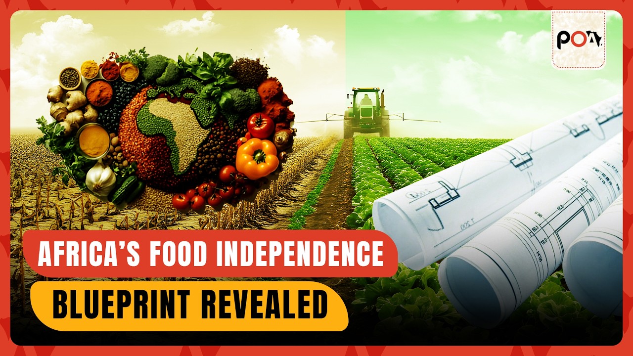 Africa&rsquo;s Food Independence Blueprint Revealed