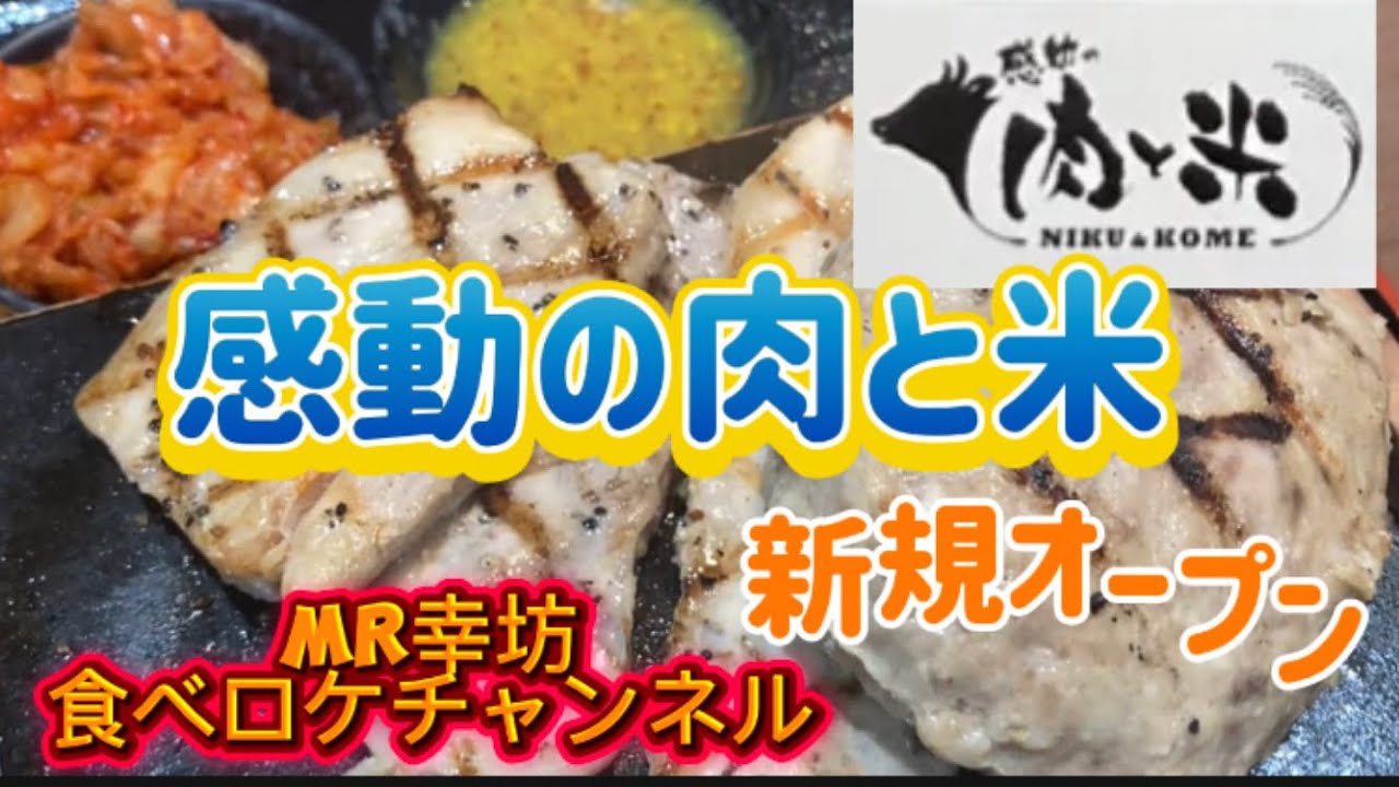 【感動の肉と米】大井松田店オープン〜家族で食べに行って来ました。🍖#感動の肉と米　MR幸坊食べロケチャンネル