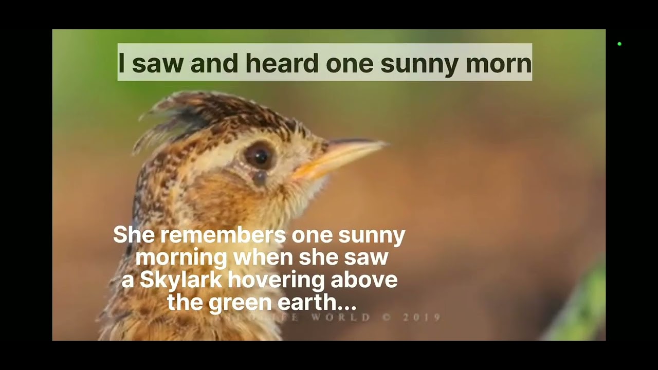 The Skylark Christina Rossetti Class 5 English
