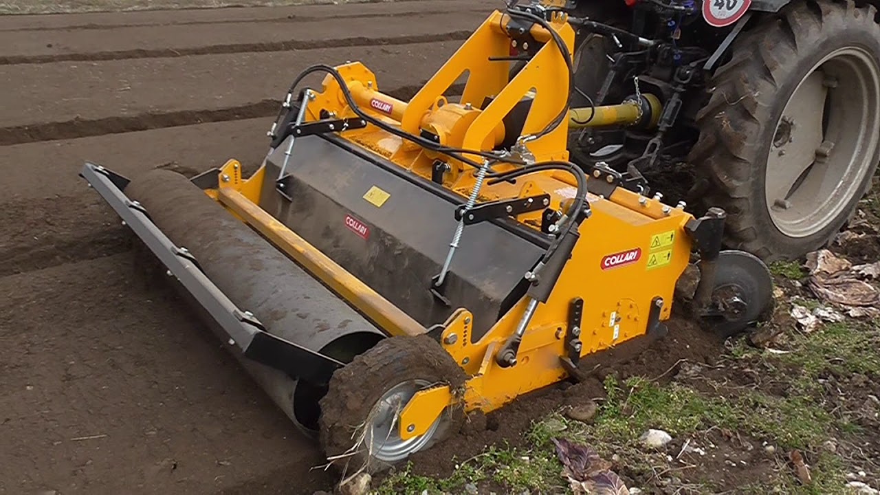 COLLARI ACLISB165