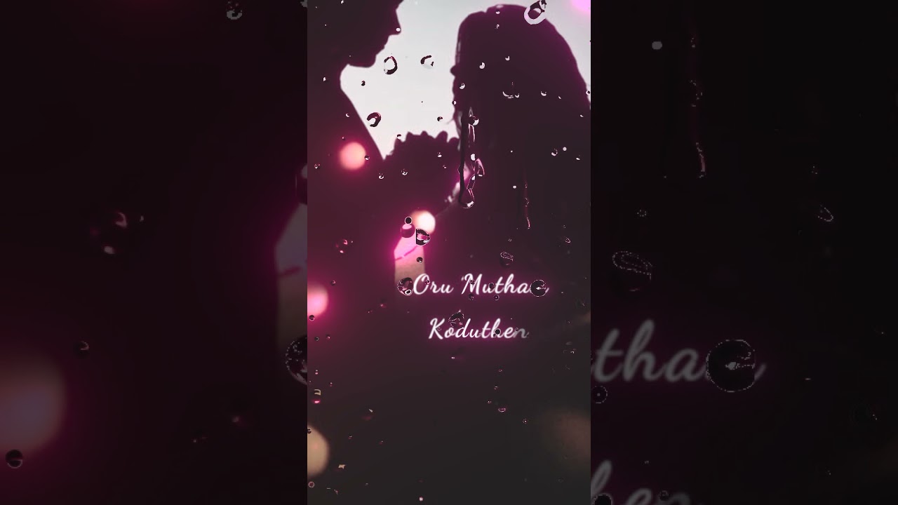 LOVE WHATSAPP STATUS 🥰🥰😊, SUPPORT 4D PLEASE ,