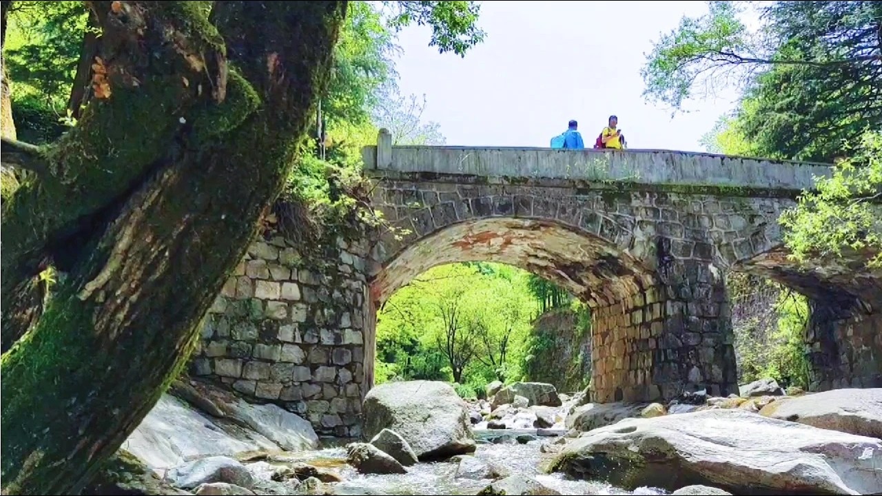 今天休息，带孩子去捉鱼，宝鸡这个小山沟里，风景如画，滿眼绿色