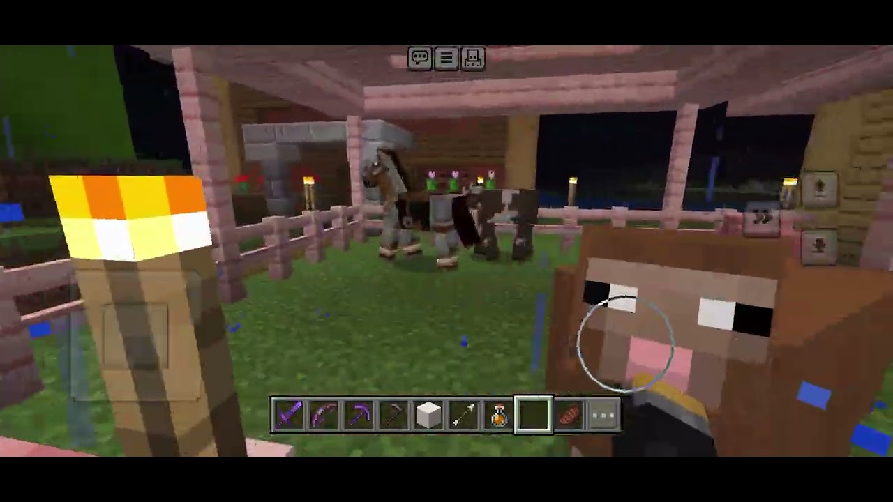 Me my little brother and friends houses