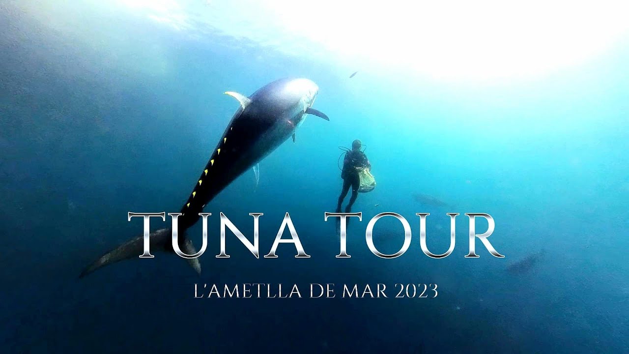 Tuna Tour L'Ametlla de Mar
